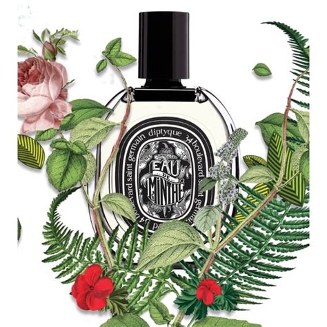 diptyque minthe fragrantica